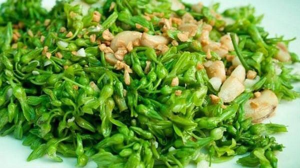 Hoa thiên lý xào tỏi
