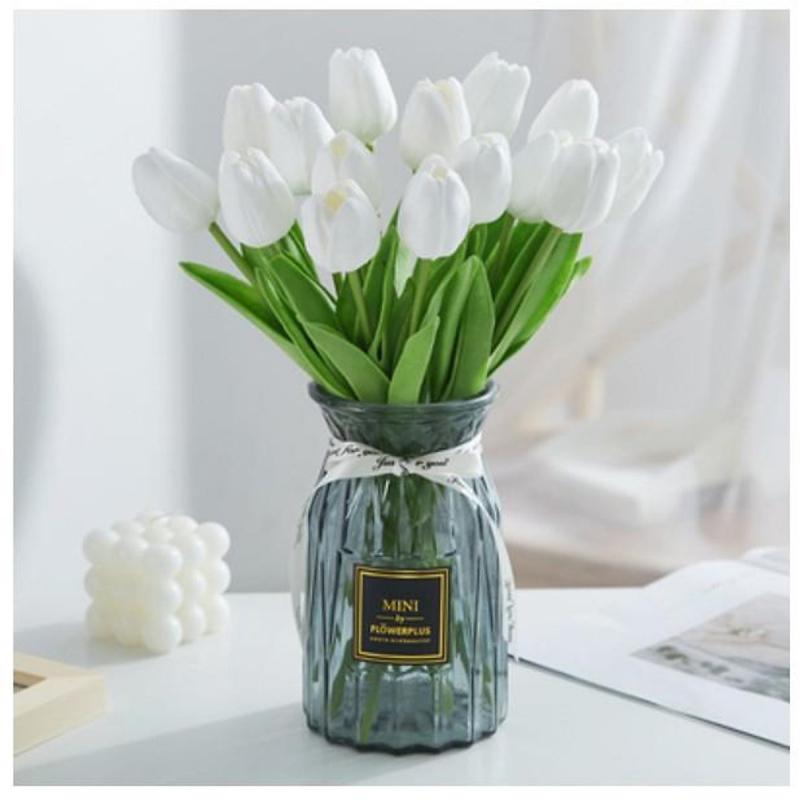 Hoa Tulip