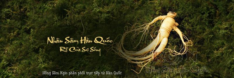 Hồng sâm Hàn Quốc Kgin