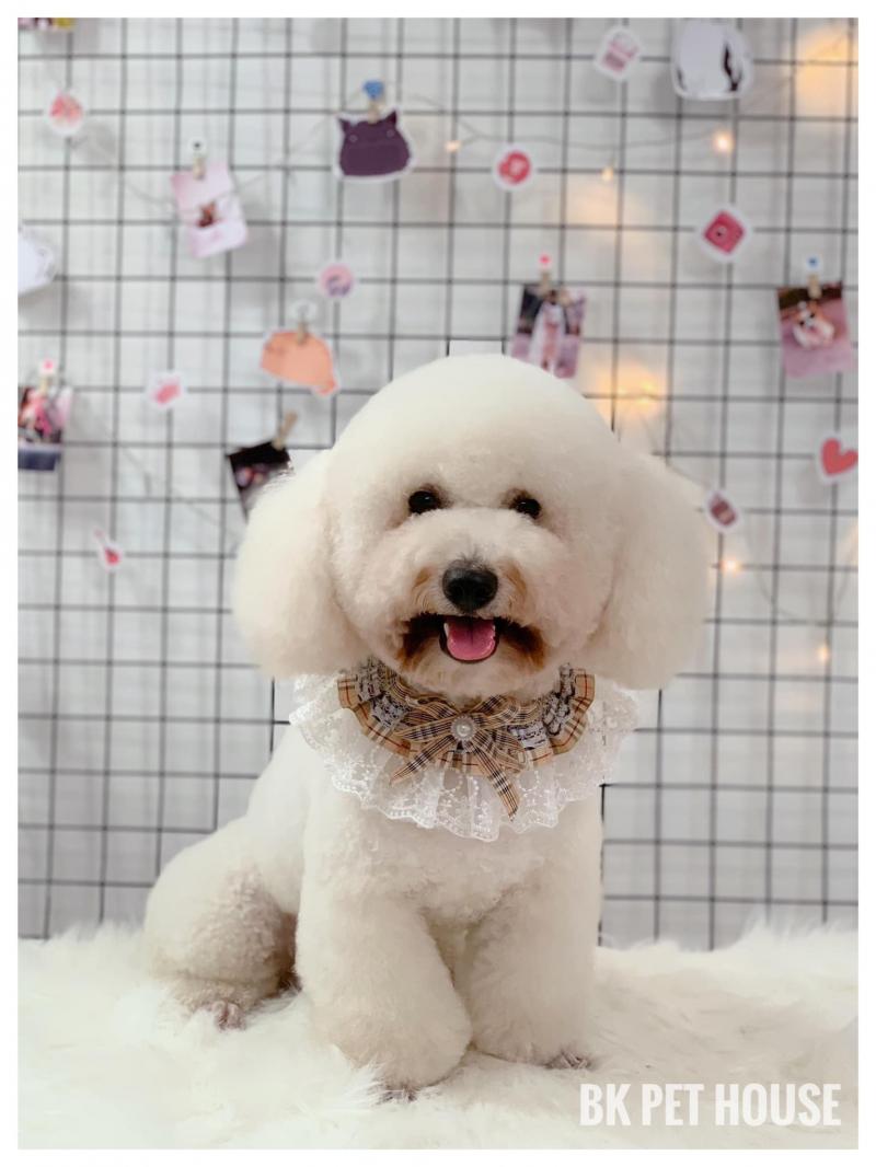 BK Pet House