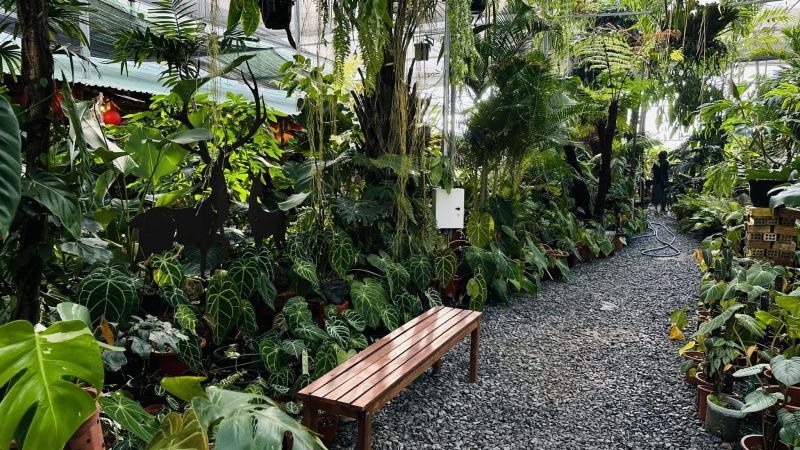 Tiệm Cây Và Nước