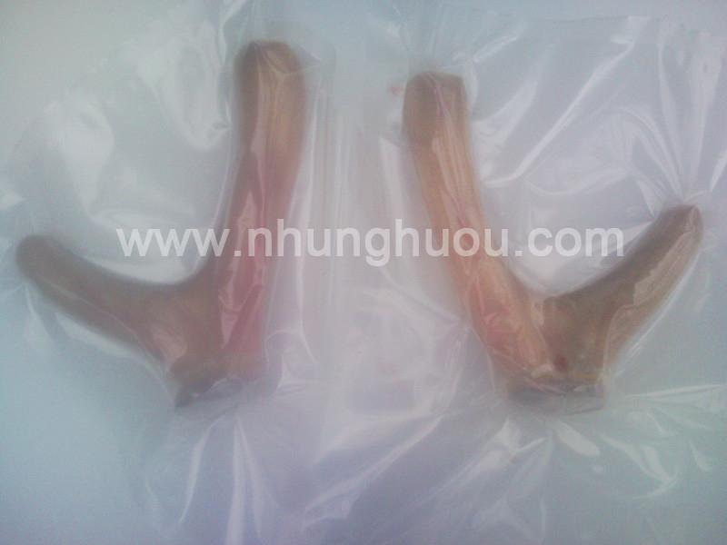 Hươu sao Hương Sơn