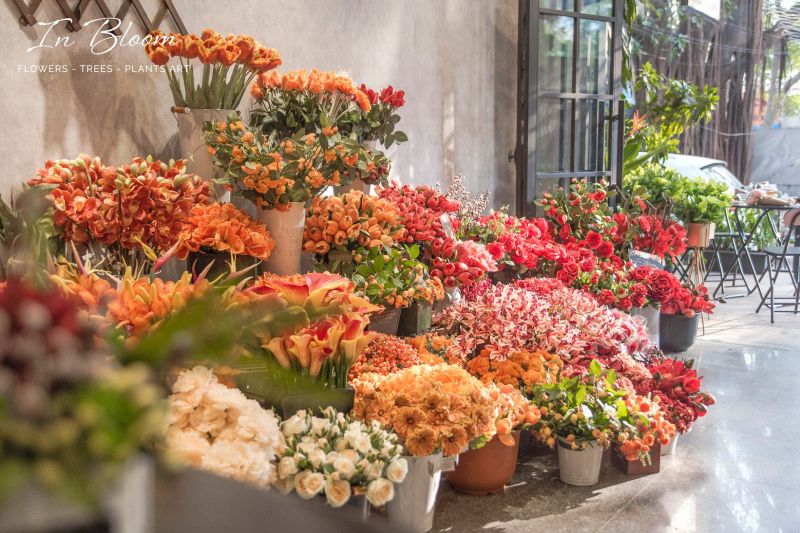 IN BLOOM - Hoa lụa cao cấp