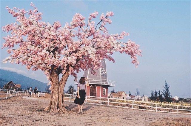 Một góc Thuận Phước Field