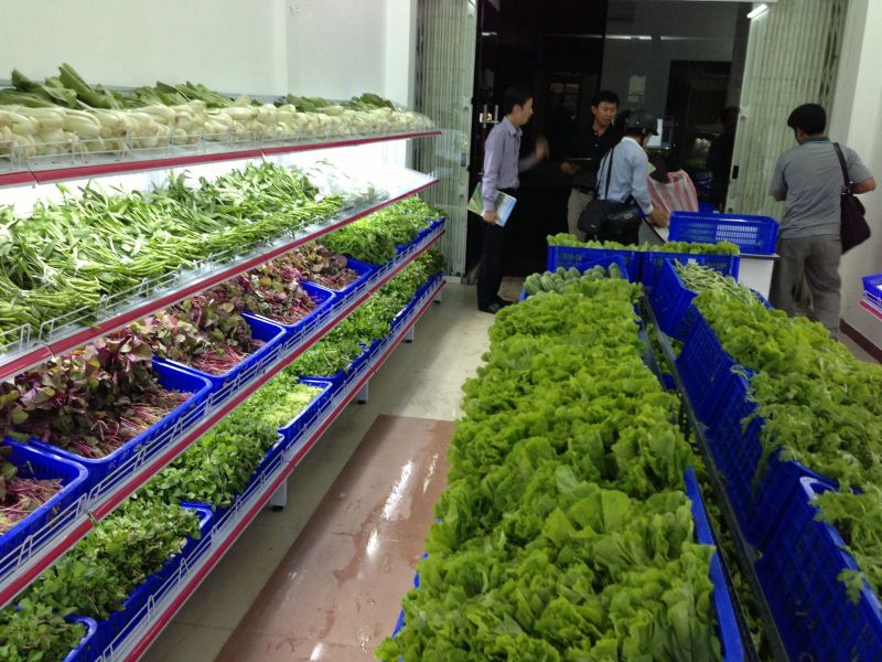 Kinh doanh rau sạch