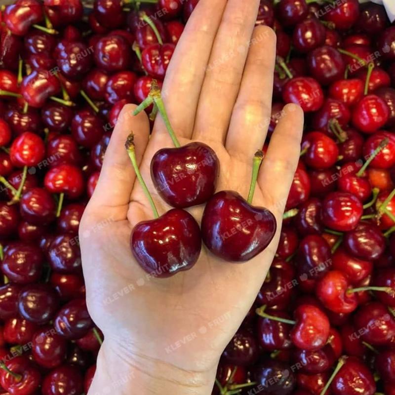 Klever Fruits