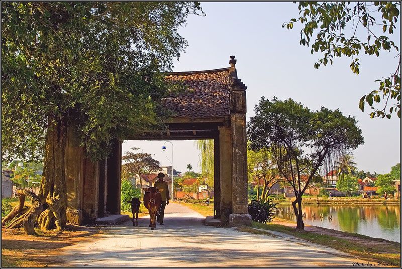 Ảnh minh họa (Nguồn internet)