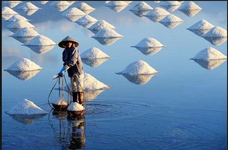 Cánh đồng muối