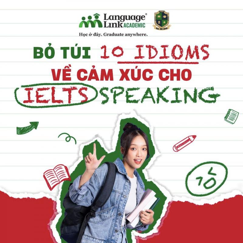 Language Link ﻿Academic