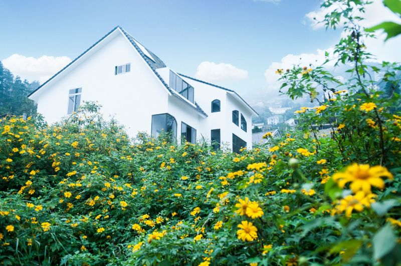 Tam Đảo Homestay - Le Vent Homestay, Food & Drink