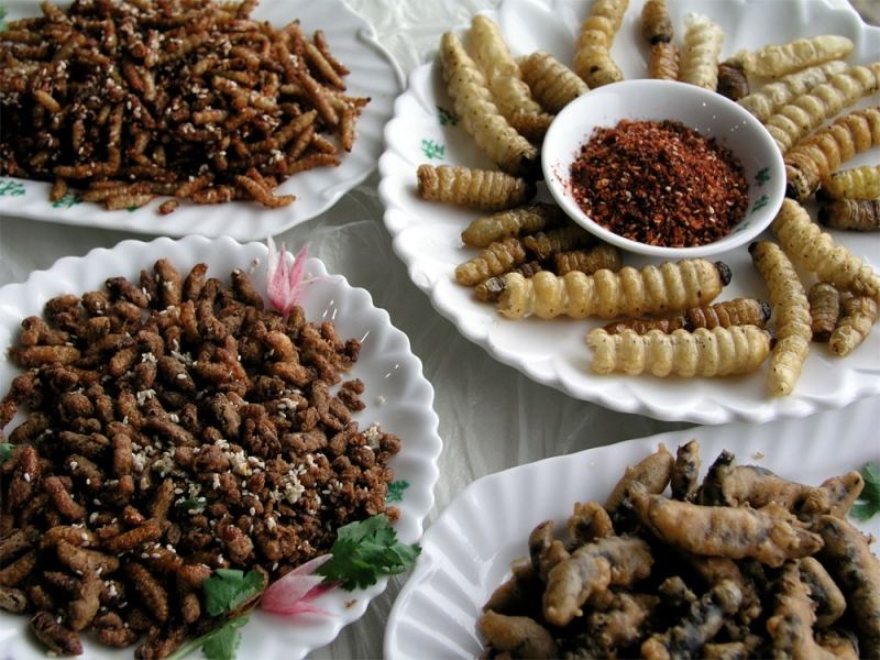 Loi choi sả ớt Trà Vinh
