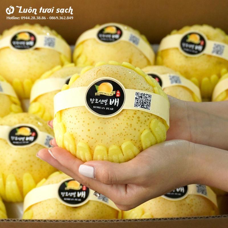 Luôn Tươi Sạch
