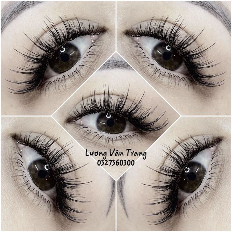 Lương Vân Trang Nối Mi