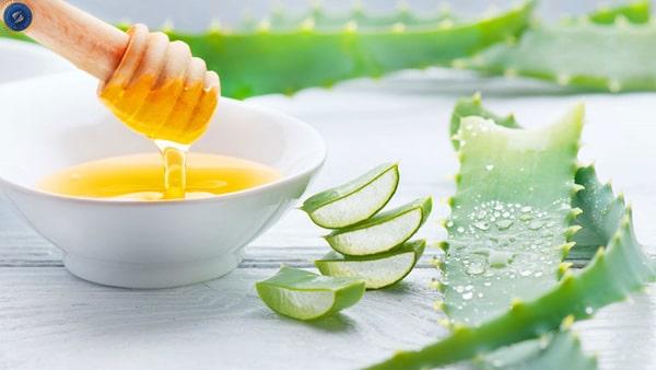 Mặt nạ chống lão hóa - nha đam, trứng