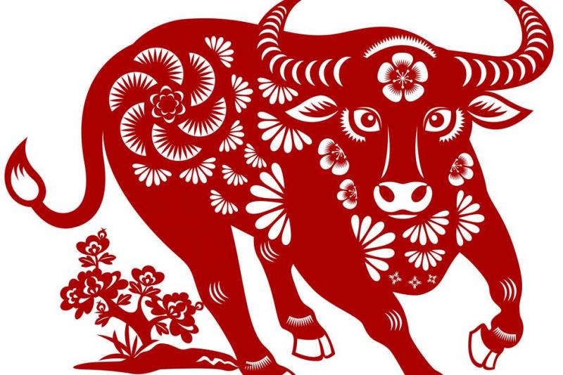 Tuổi Sửu - Phá Thái Tuế