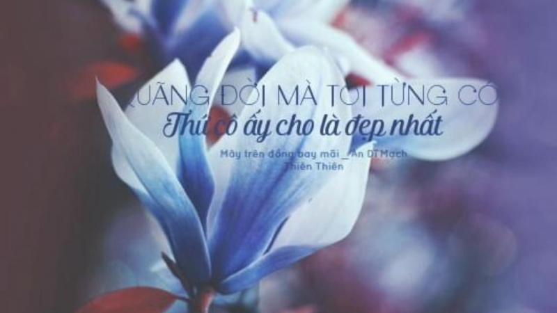 Mây trên đồng bay mãi - An Dĩ Mạch
