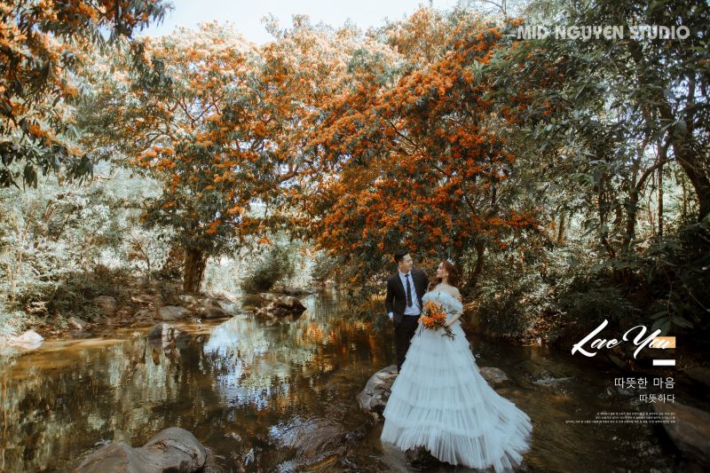 Mid Nguyen Wedding