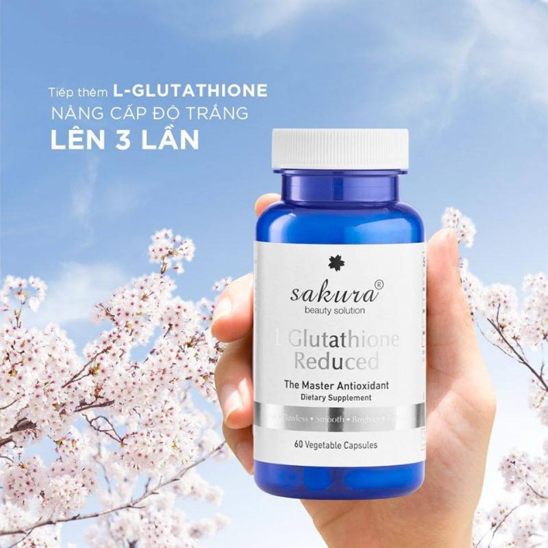 Mỹ Phẩm Sakura Hà Nội - Miền Bắc