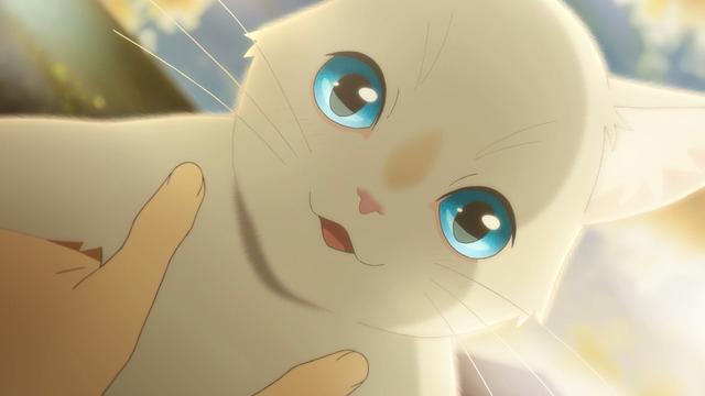 Nakitai Watashi wa Neko wo Kaburu
