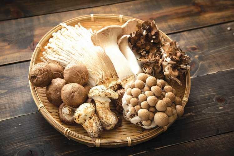 Các loại nấm có chất chống ung thư tốt