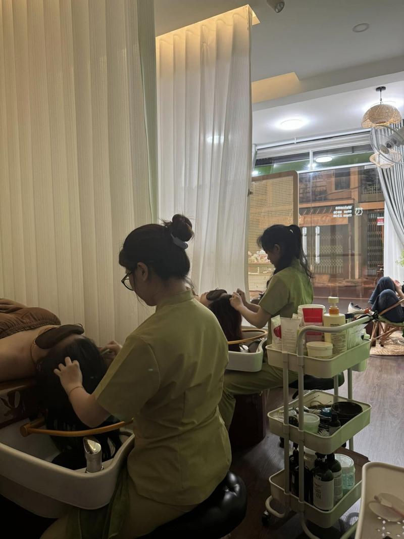 Nếp spa