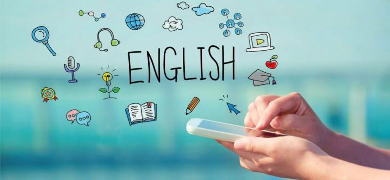 Trả lời bằng tiếng Anh nếu có thể