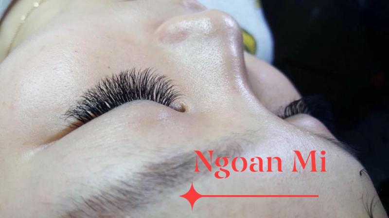 Ngoan Nguyễn- NốiMi