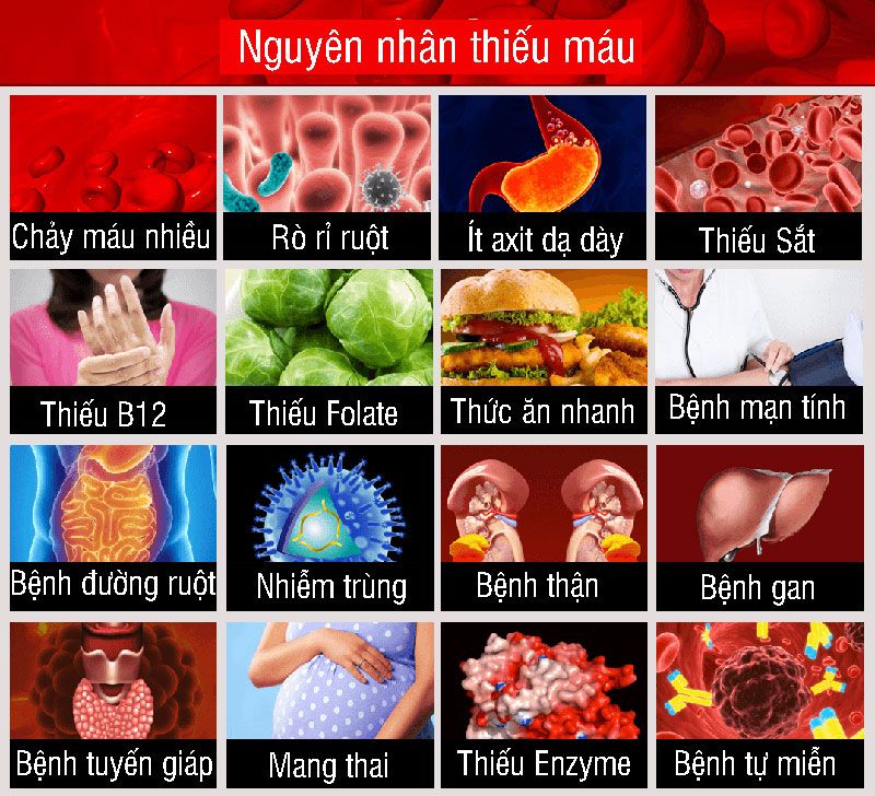 Nguyên nhân gây thiếu máu