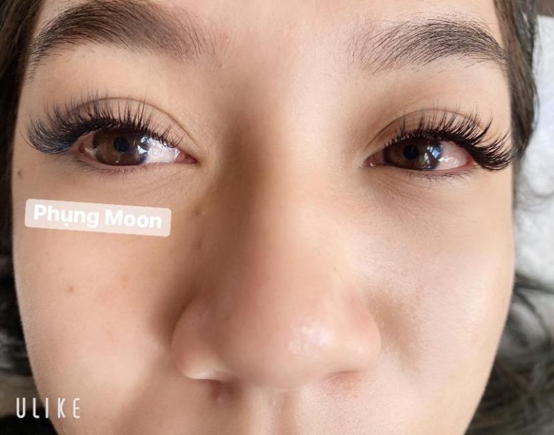 Nối mi Phụng Moon
