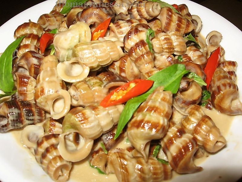 Ốc hút Đà Nẵng