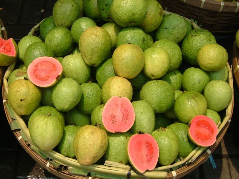 Người ăn ổi cảm nhận vị chát, sau đó là vị chua dịu rồi vị ngọt.﻿