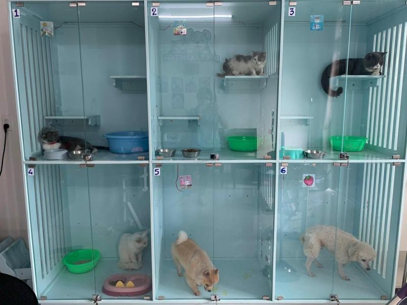 PET Center Cần Thơ