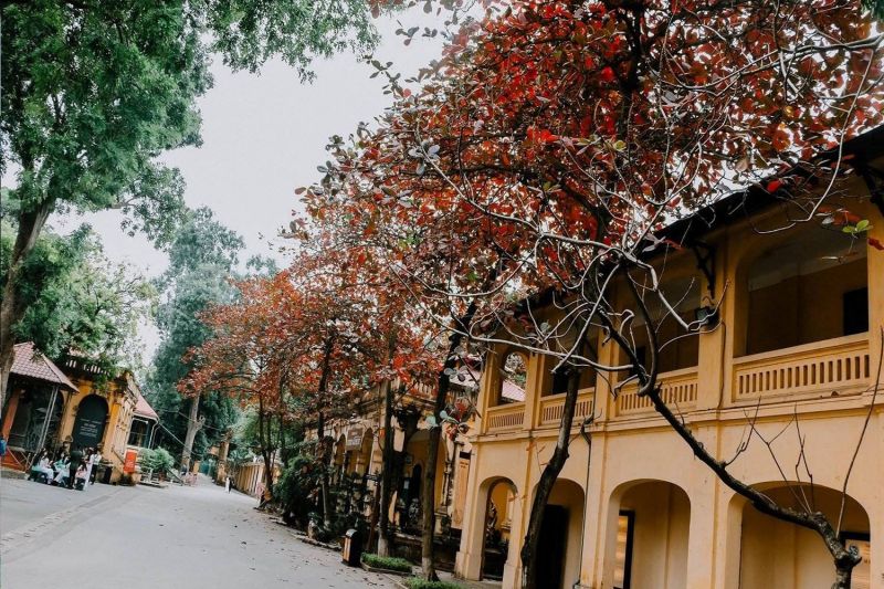 Phố ta