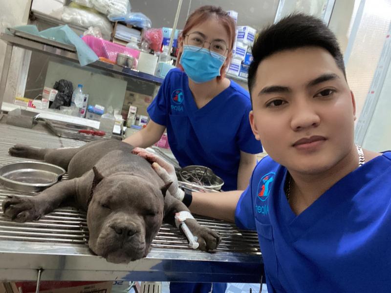 Phòng Khám Thú Y Allpet