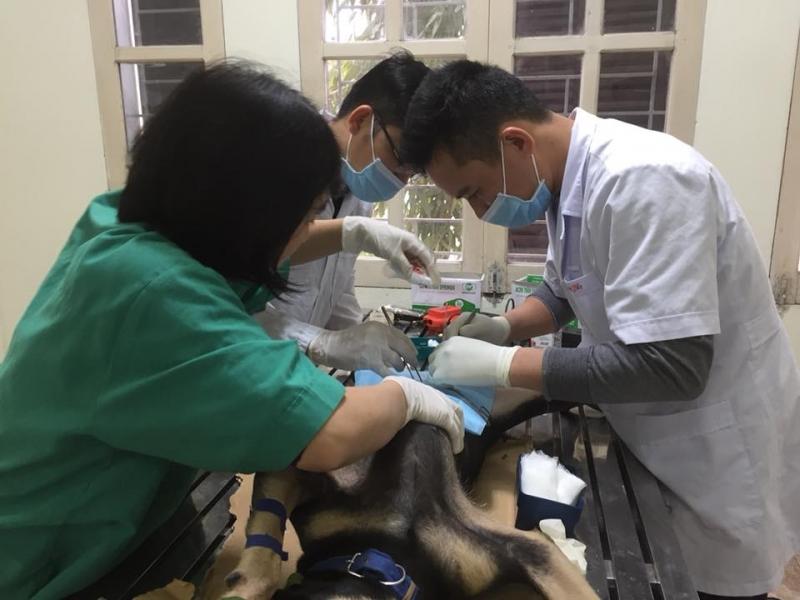 Bệnh Viện Thú Y Thành Phố Vinh