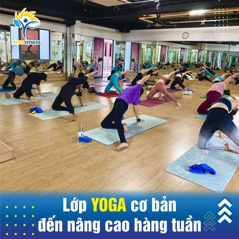 Push Fitness & Yoga Center