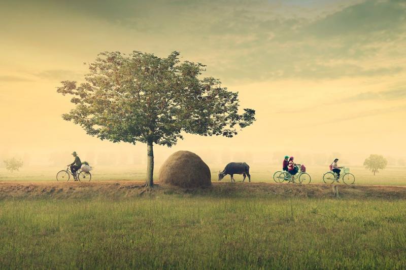 Quê hương trong tôi