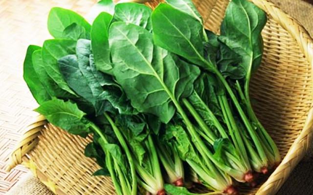 Rau chân vịt rất tốt cho người bệnh trĩ