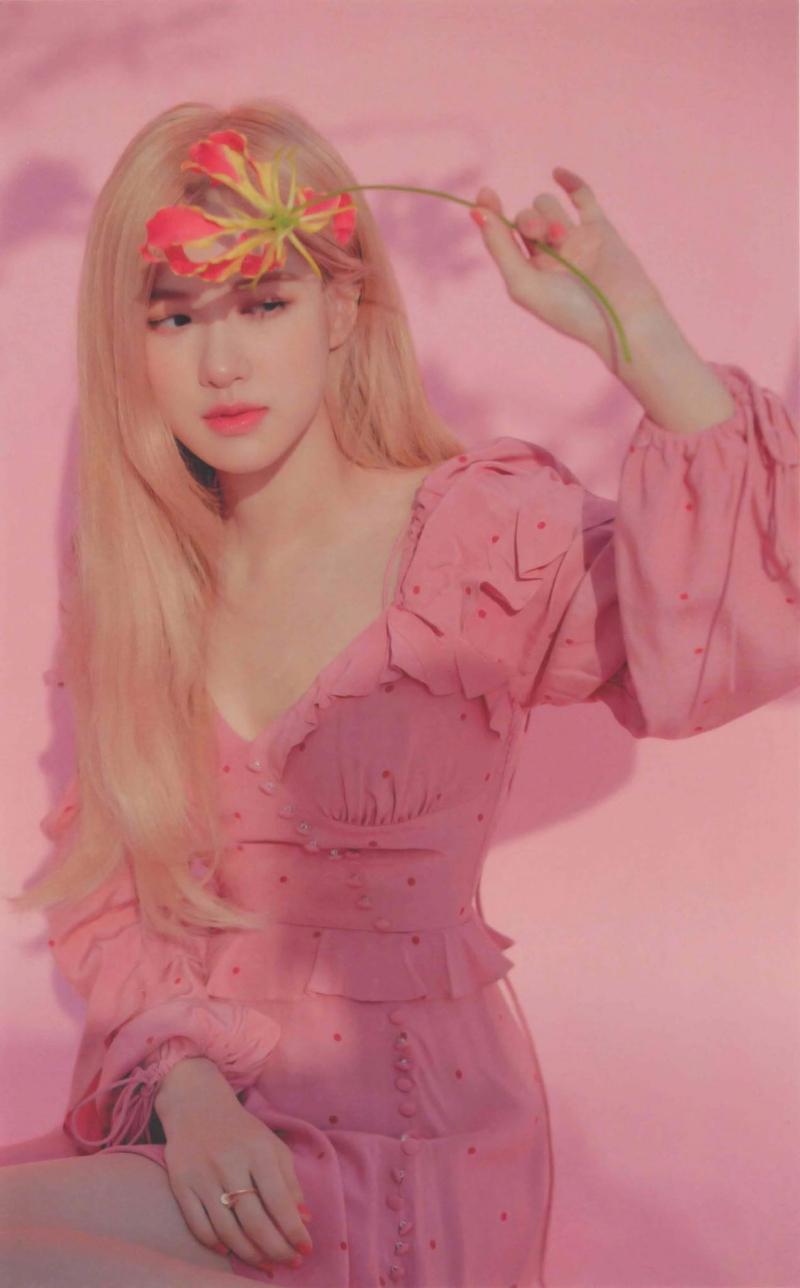 Rosé
