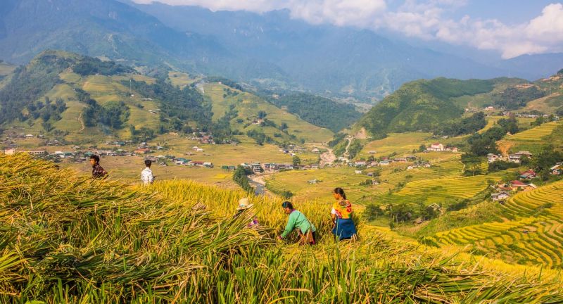 Sa Pa mùa nào đẹp
