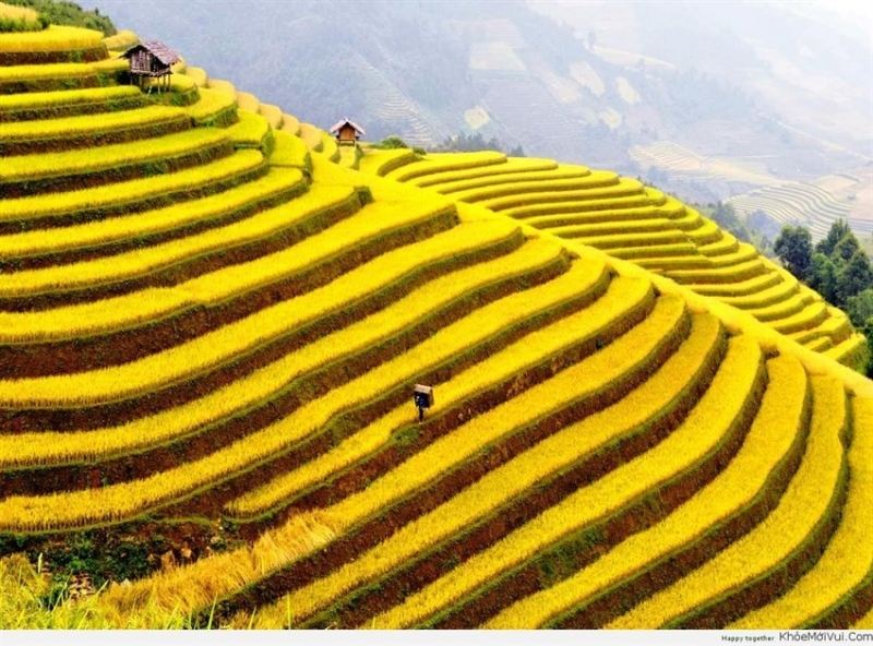 Sa Pa như một kiệt tác nghệ thuật