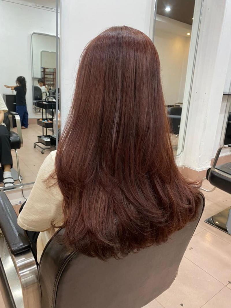 SaLon Louis Nguyễn