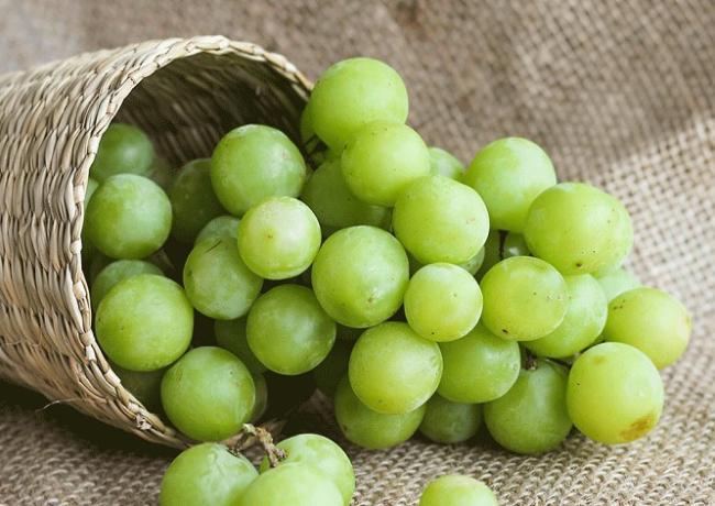 Hoa quả nhập khẩu Nam Định - Fruits 113