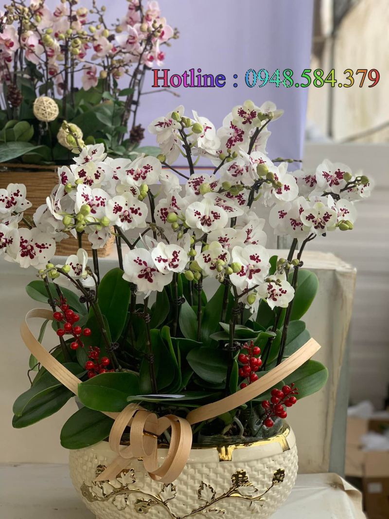 Shop Hoa Tươi Nam Định - Dương Trần Flowrist