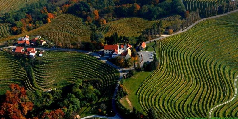 Valentine tại Slovenia không được tổ chức vào ngày 14/2
