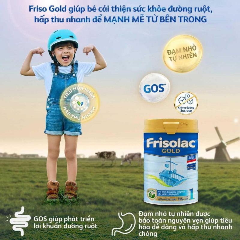 Friso Gold 1