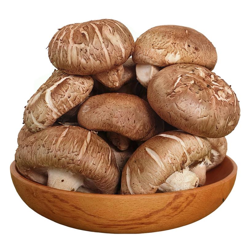 Súp ghẹ và nấm đông cô