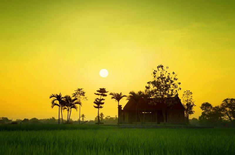Hình minh hoạ