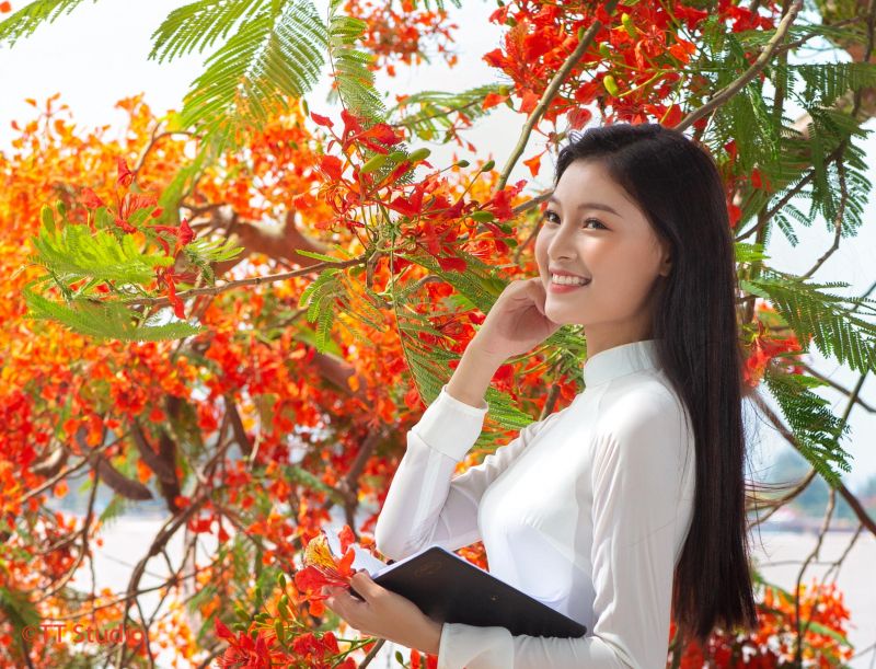 Thành phố Hoa Phượng Đỏ
