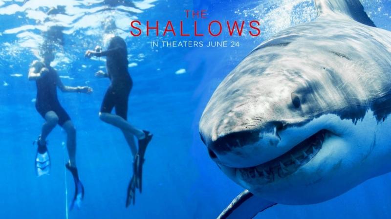 Hinh ảnh cá mập trong The Shallows